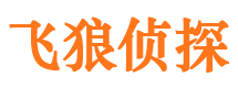 嵩县市婚外情调查